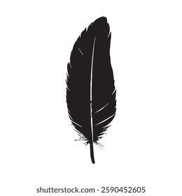 Feather Black Silhouette Hand-Drawn Sketch with Grunge Texture