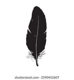 Feather Black Silhouette Hand-Drawn Sketch with Grunge Texture