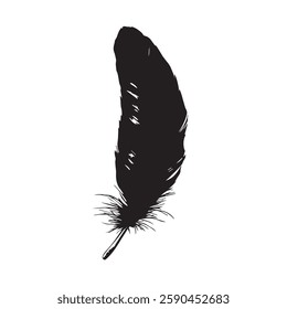 Feather Black Silhouette Hand-Drawn Sketch with Grunge Texture