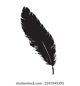 Feather Black Silhouette Hand-Drawn Sketch with Grunge Texture