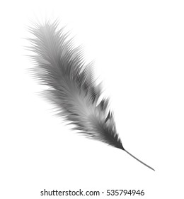 Feather black and white color. Vector illustration isolated on white background