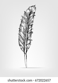  Feather  black and white  hand  draw 