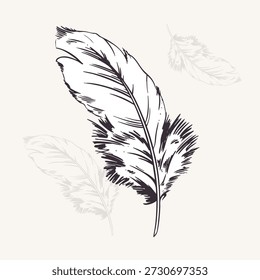 Difusão em ilustração de vetor de contorno preto e branco. Esboço antigo de pena de pássaro em monocromático. Conceito de luminosidade. Boho elemento clipart