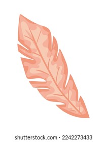 feather boho wild and free icon