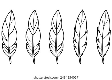 Feather bundle art illustration for enthusiasts of feather design beauty