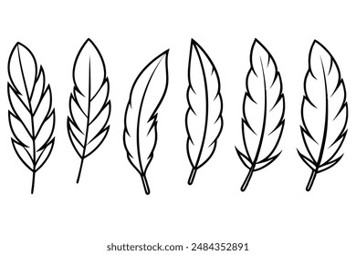 Feather bundle art illustration perfect for projects featuring feather themes