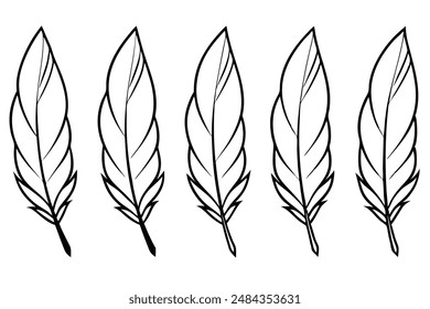 Feather bundle art illustration perfect for creative crafting projects