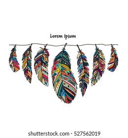 Feather collection for your design