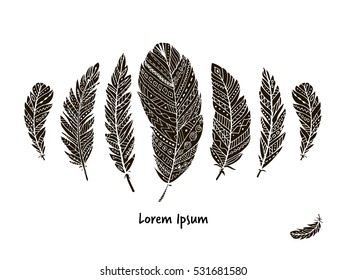 Feather collection for your design