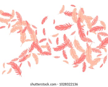 Feather concept pattern vector print. Gentle minimalist background with plumelet. Editable backdrop with windy pink flying feather elements. Cute vector illustration design.
