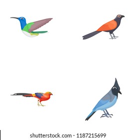 
Feather Creature, Birds Flat Icons 
