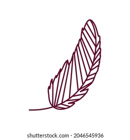 feather decoration line icon isolated