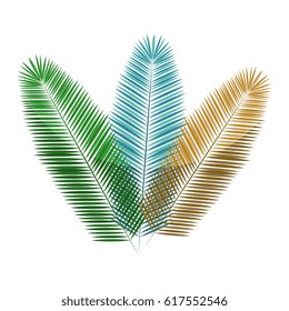 feather decorative isolated icon