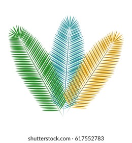 feather decorative isolated icon