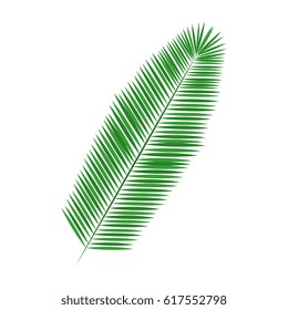 feather decorative isolated icon