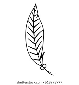 feather decorative isolated icon
