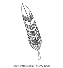 feather decorative isolated icon