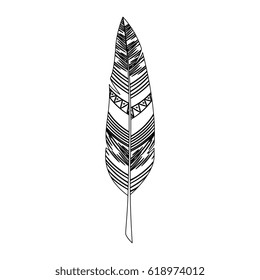 feather decorative isolated icon