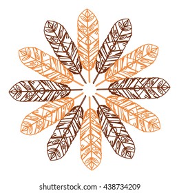 Feather design. isolated  bohemic plume, vector graphic
