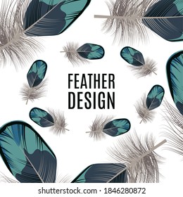 Feather design template. Fashion conceptual background with beautiful bird feathers. Wedding invitation, business card, banner, poster, cover, background, brochure design vector illustration