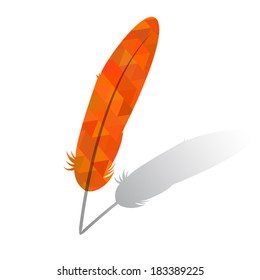 Feather detailed illustration
