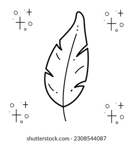 Feather. Ilustración vectorial en blanco y negro con doodle.