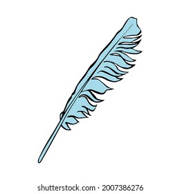 Feather. Doodle closeup. Business communication concept. Vector drawing. Vector graphic. Tropical fashion. Notebook paper. Idea symbol.