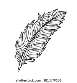 feather doodle line art hand drawn