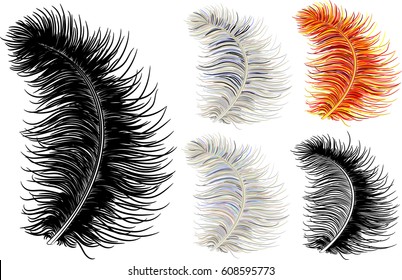 Feather down fluffy. Vector illustration