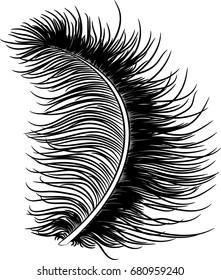 Feather down fluffy. Vector illustration