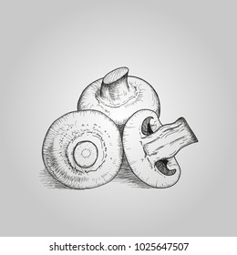 Feather drawing of mushrooms, vectorized illustration of mushrooms.
