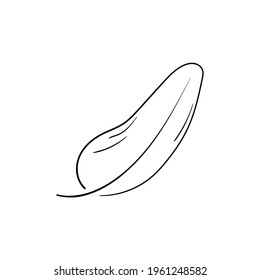 Feather drawing on white background