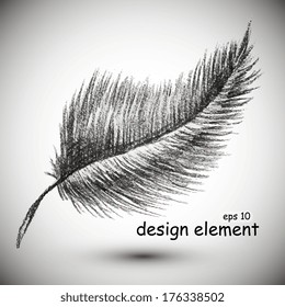 feather, drawn in black chalk, design element
