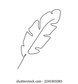 Feather drawn in one continuous line. One line drawing, minimalism. Vector illustration.