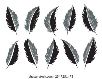 Feather engraving emblem set. Hand drawn bird feathers isolated vector illustration