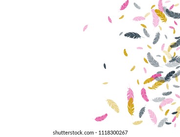 Feather ethnic background vector print.  Cool background with plumelet. Flying feather elements cute vector design for card, banner.