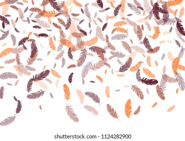 Feather ethnic background vector print.  Trendy background with plumelet. Flying feather elements cute vector design for card, banner.