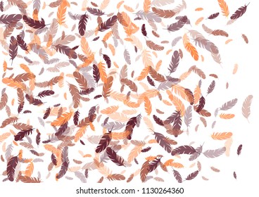 Feather ethnic background vector print.  Sophisticated background with plumelet. Flying feather elements cute vector design for card, banner.