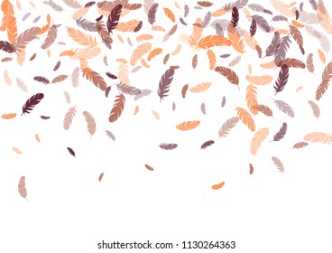 Feather ethnic background vector print.  Romantic background with plumelet. Flying feather elements cute vector background design for card, banner.