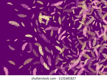 Feather ethnic background vector print.  Abstract background with plumelet. Flying feather elements cute vector background design for card, banner.
