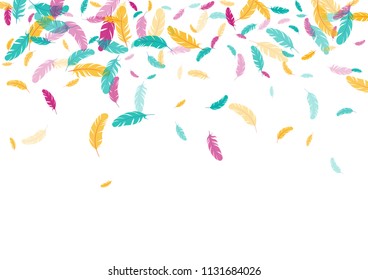 Feather ethnic background vector print.  Abstract background with pink blue yellow plumelet. Flying feather elements cute vector background design for card, banner.