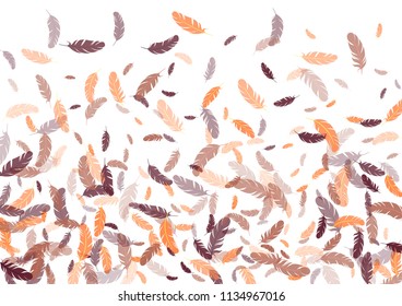 Feather ethnic background vector print.  Decorative background with plumelet. Flying feather elements cute vector design for card, banner.