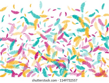 Feather ethnic background vector print.  Cool background with plumelet. Flying feather elements cute vector design for card, banner.