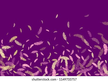 Feather ethnic background vector print.  Elegant background with plumelet. Flying feather elements cute vector background design for card, banner.