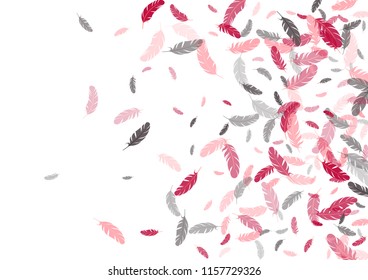 Feather ethnic background vector print.  Weightless background with plumelet. Flying feather elements cute vector background design for card, banner.