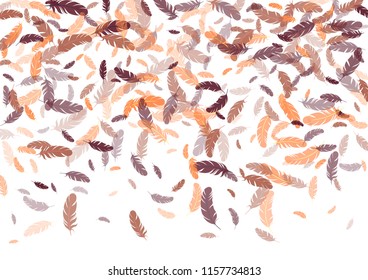 Feather ethnic background vector print.  Brazilian background with plumelet. Flying feather elements cute vector background design for card, banner.