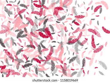 Feather ethnic background vector print.  Abstract background with plumelet. Flying feather elements cute vector background design for card, banner.