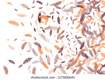 Feather ethnic background vector print.  Minimalist background with plumelet. Flying feather elements cute vector design for card, banner.