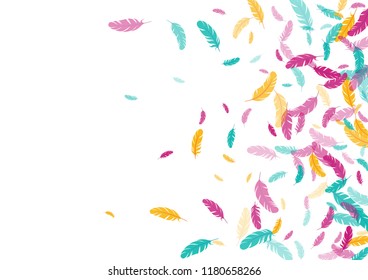 Feather ethnic background vector print.  Weightless background with plumelet. Flying feather elements cute vector design for card, banner.