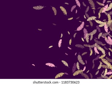 Feather ethnic background vector print.  Weightless background with pink gold plumelet. Flying feather elements cute vector design for card, banner.
